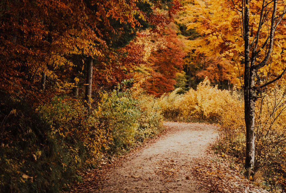 Pensar lo trans. De María Cruz Estada y Caty Martín Gómez.