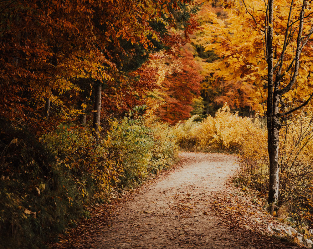 Pensar lo trans. De María Cruz Estada y Caty Martín Gómez.